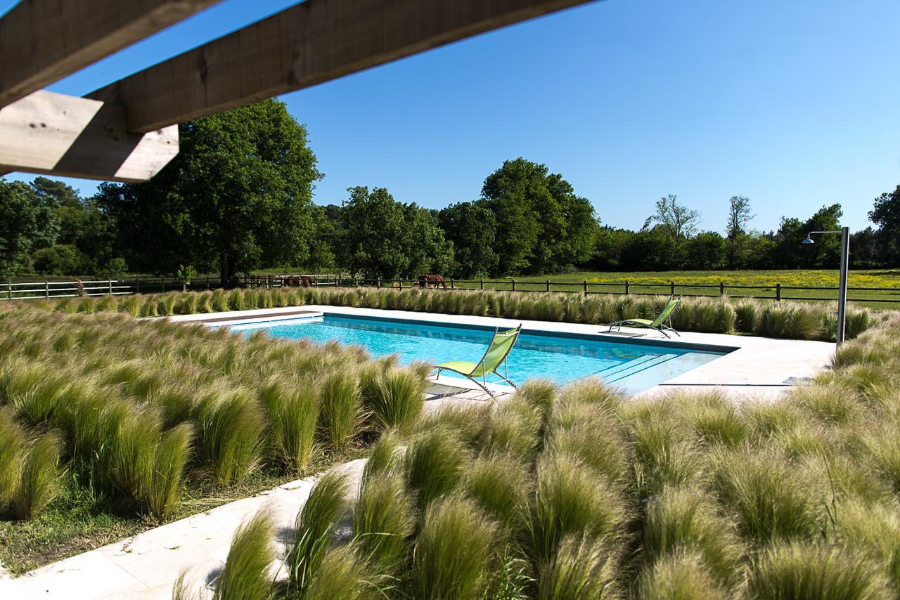 Les Cinq Sens Du Chateau Mayne Lalande Hotel Castelnau-de-Médoc Екстериор снимка